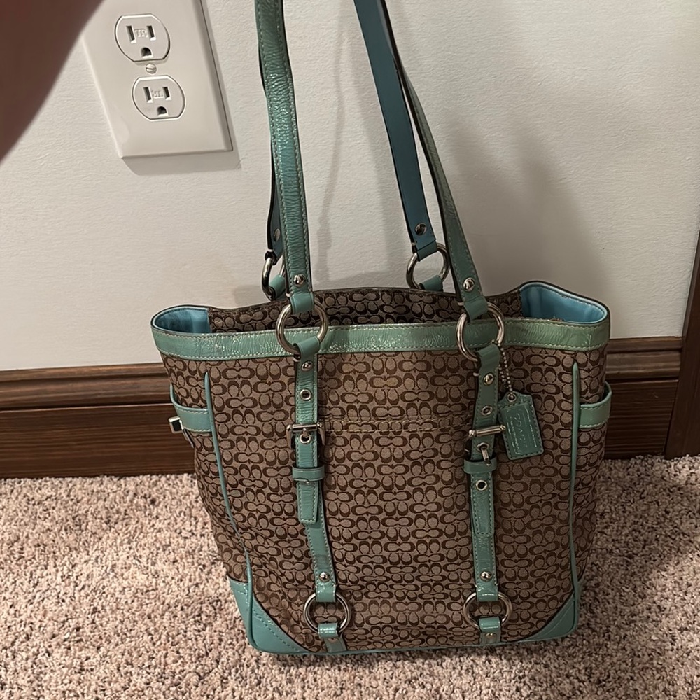 Stylish Brown and Green Tote Bag